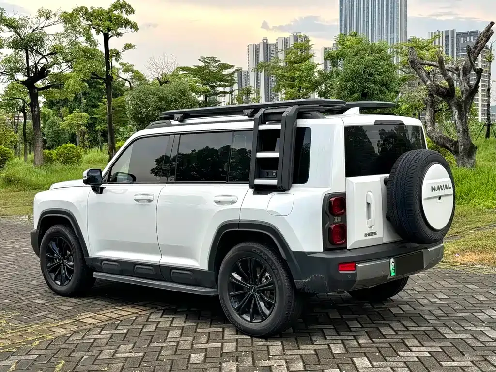 Haval Menglong New Energy — фото 10