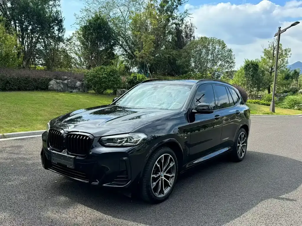 BMW X3 — фото 1