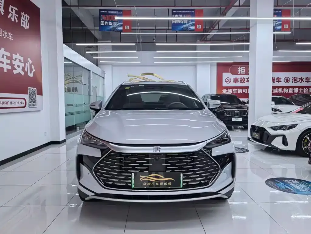 BYD Tang New Energy — фото 10