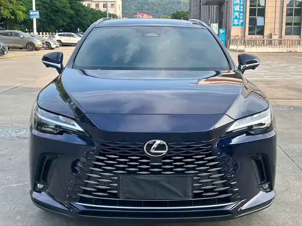 Lexus RX — фото 9