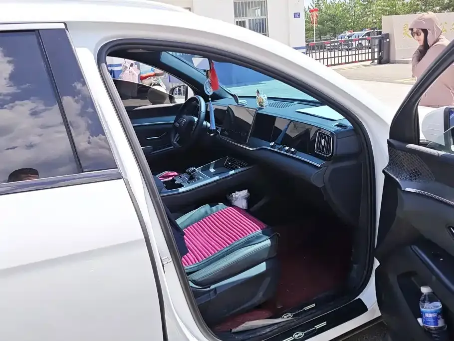 BYD Pro New Energy — фото 10
