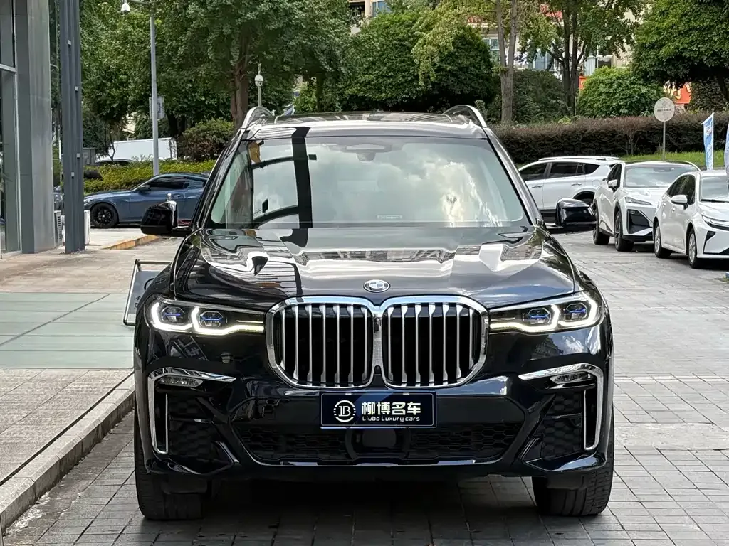 BMW X7 — фото 8