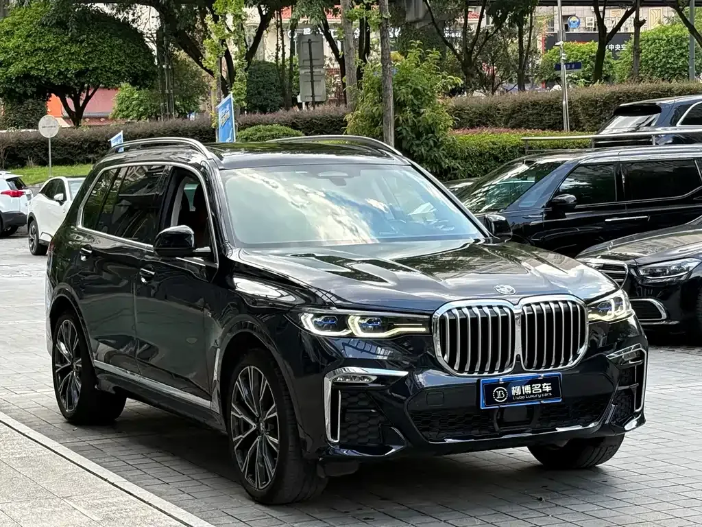 BMW X7 — фото 4