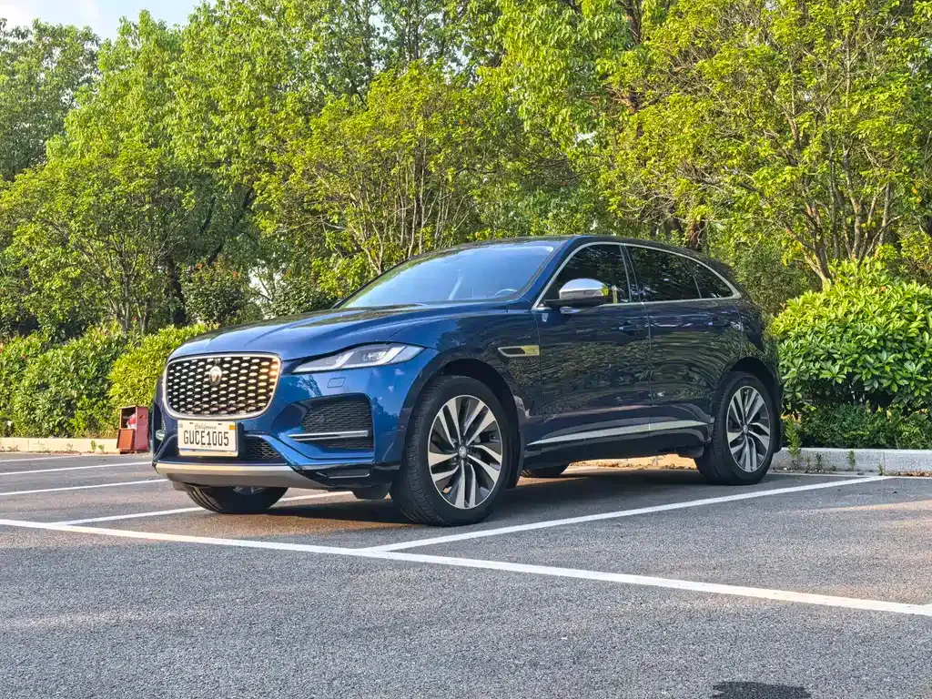 Jaguar F-PACE — фото 1