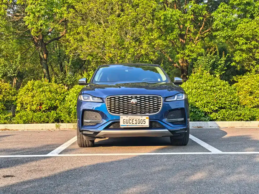 Jaguar F-PACE — фото 4