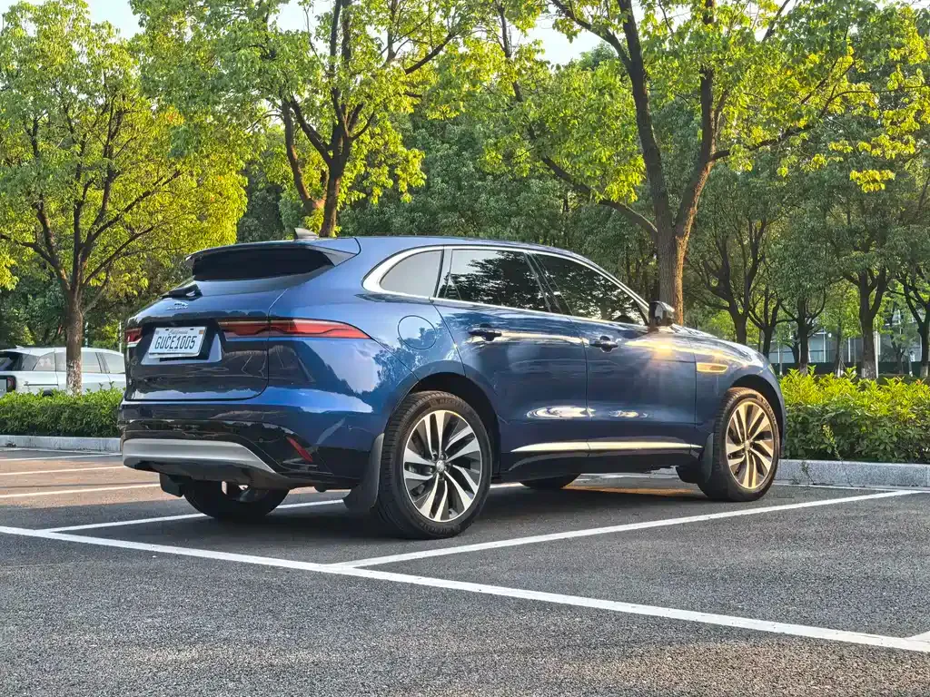 Jaguar F-PACE — фото 6