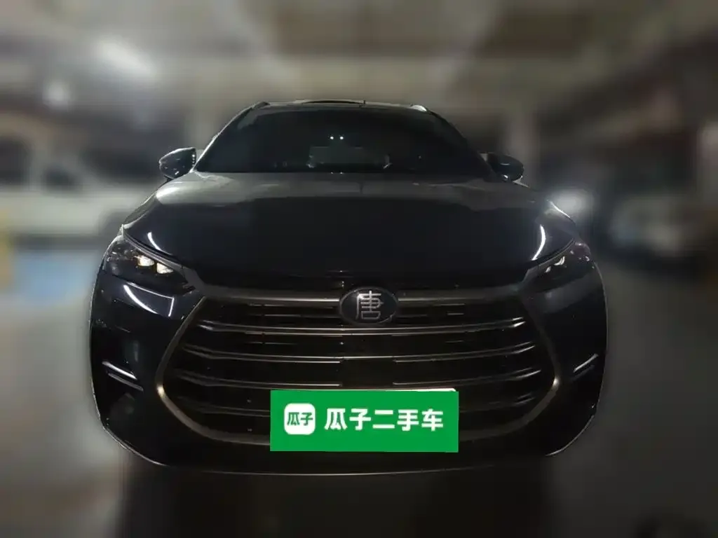 BYD Tang New Energy — фото 4