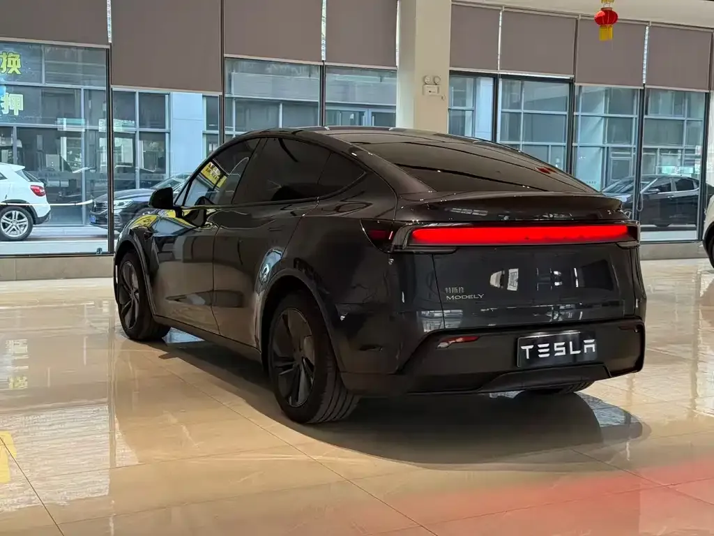 Tesla Model Y — фото 9