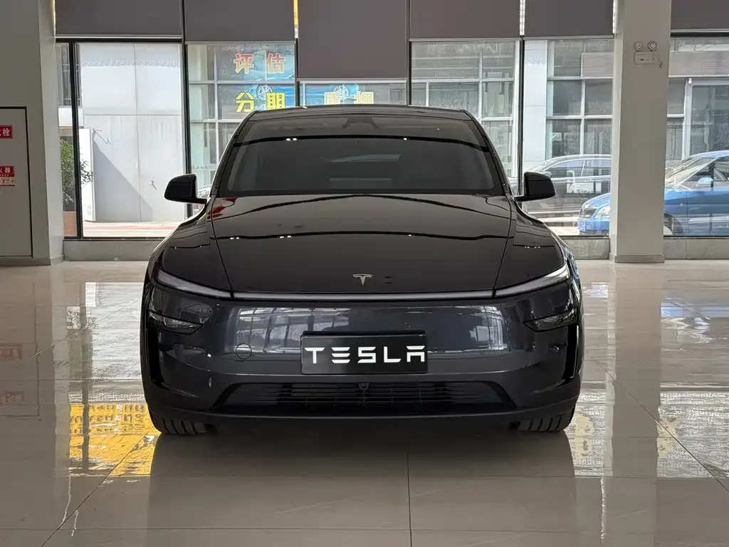 Tesla Model Y — фото 8