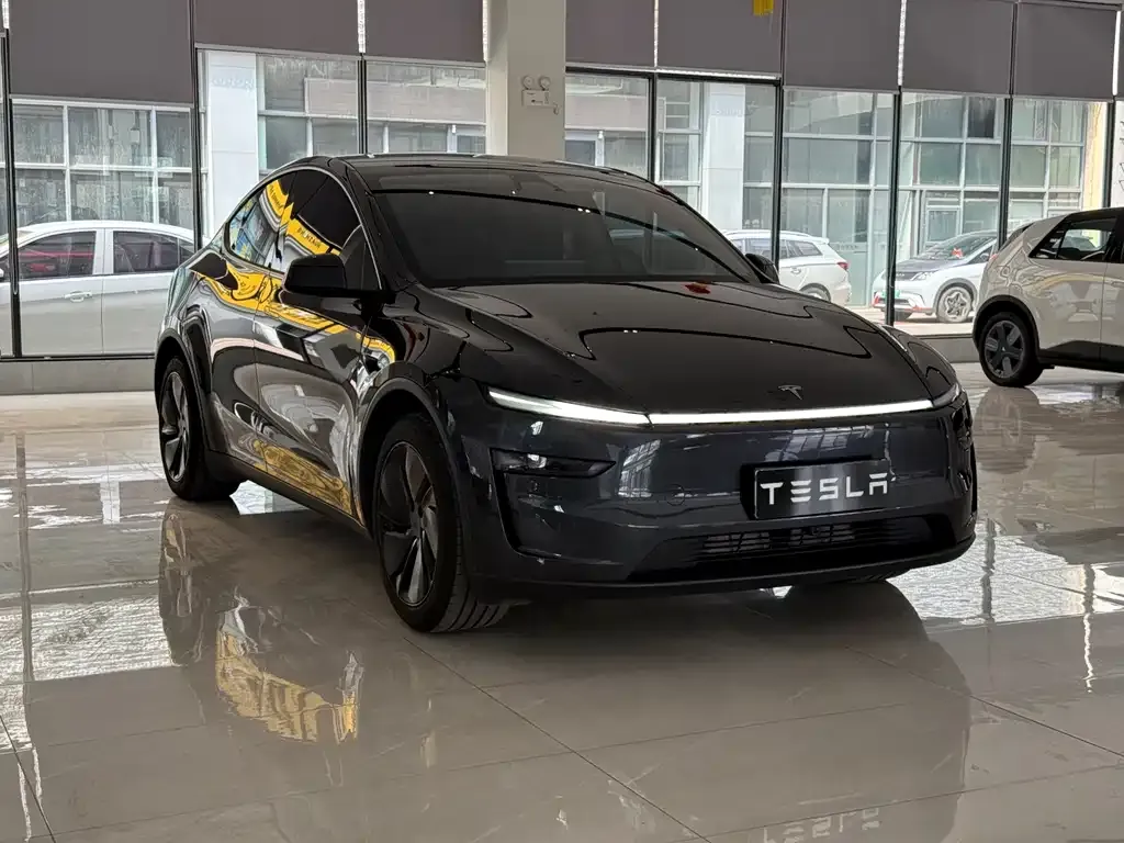 Tesla Model Y — фото 10