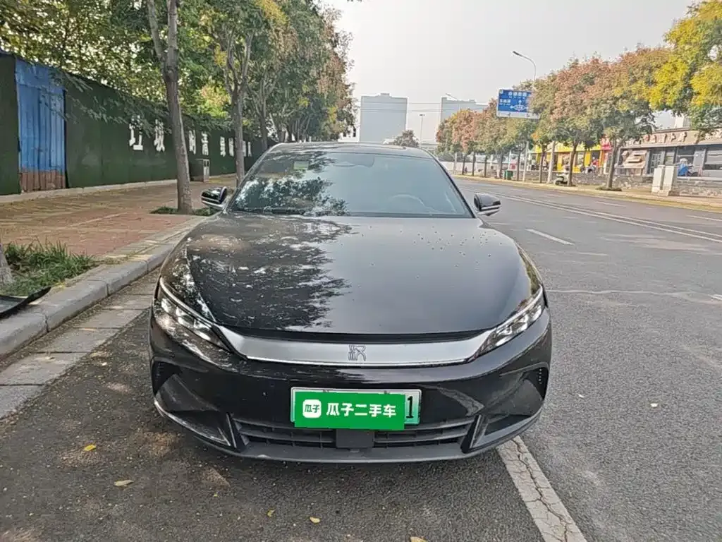 BYD Han — фото 10