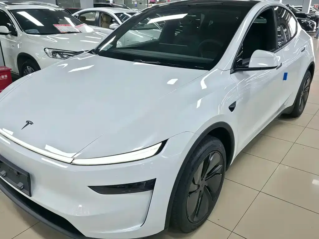 Tesla Model Y — фото 8
