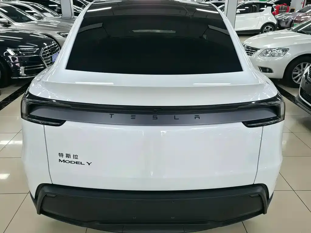 Tesla Model Y — фото 6