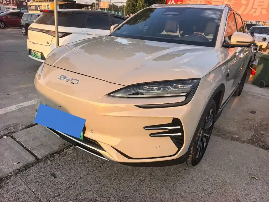 BYD PLUS New Energy — фото 1
