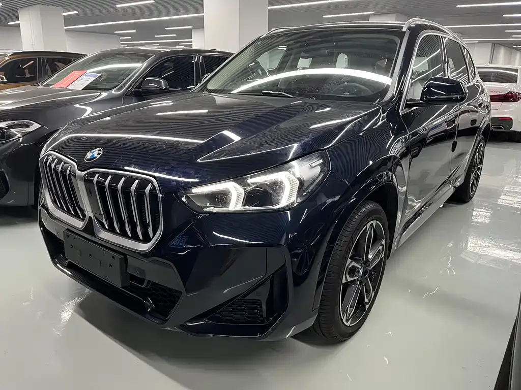 BMW X1 — фото 1
