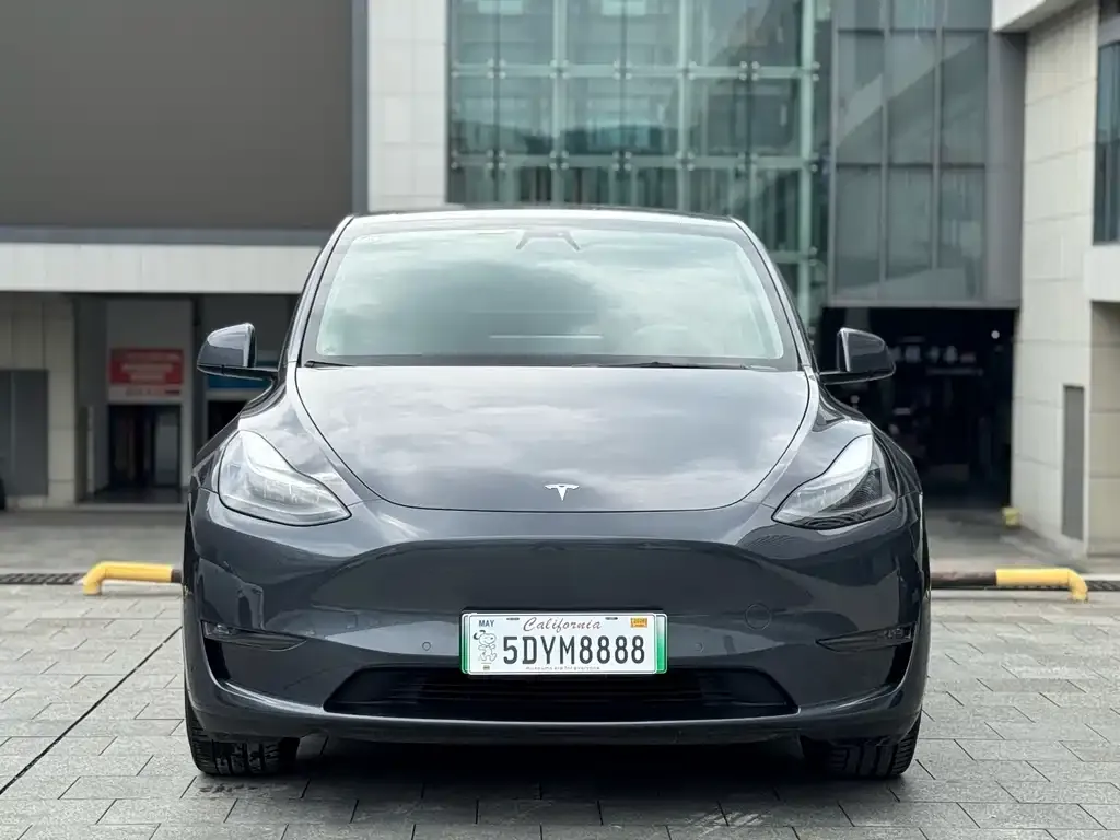 Tesla Model Y — фото 3