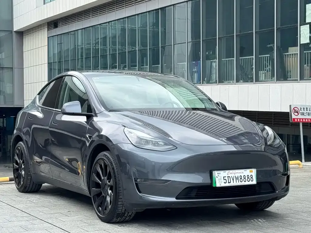 Tesla Model Y — фото 10