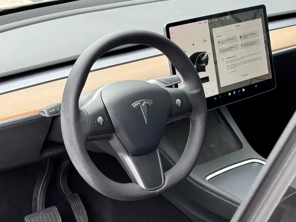 Tesla Model Y — фото 9
