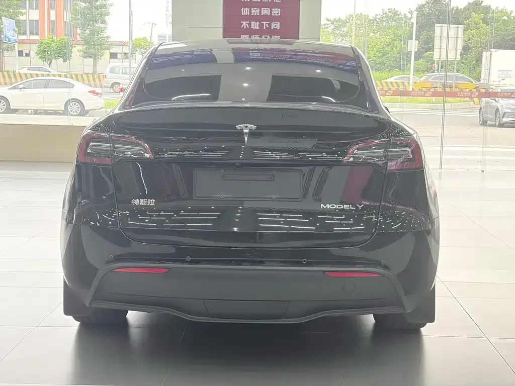Tesla Model Y — фото 5