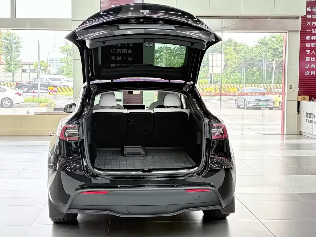 Tesla Model Y — фото 2