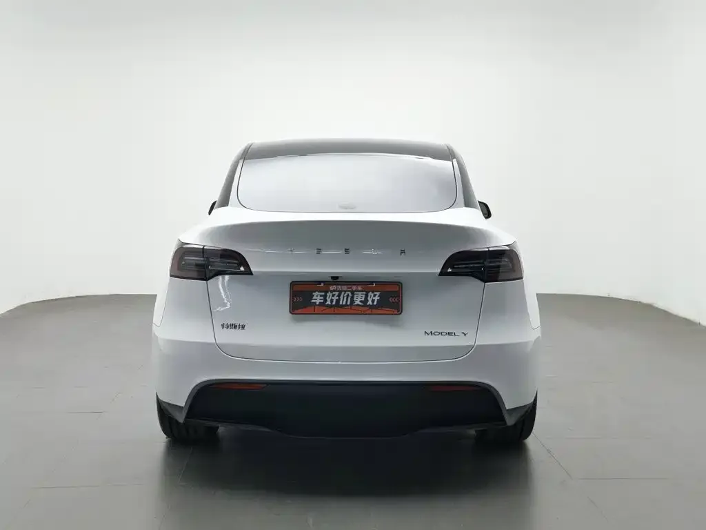 Tesla Model Y — фото 6