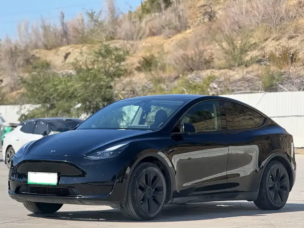 Tesla Model Y — фото 1
