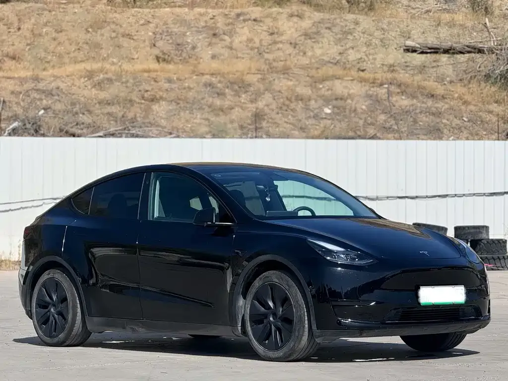 Tesla Model Y — фото 9