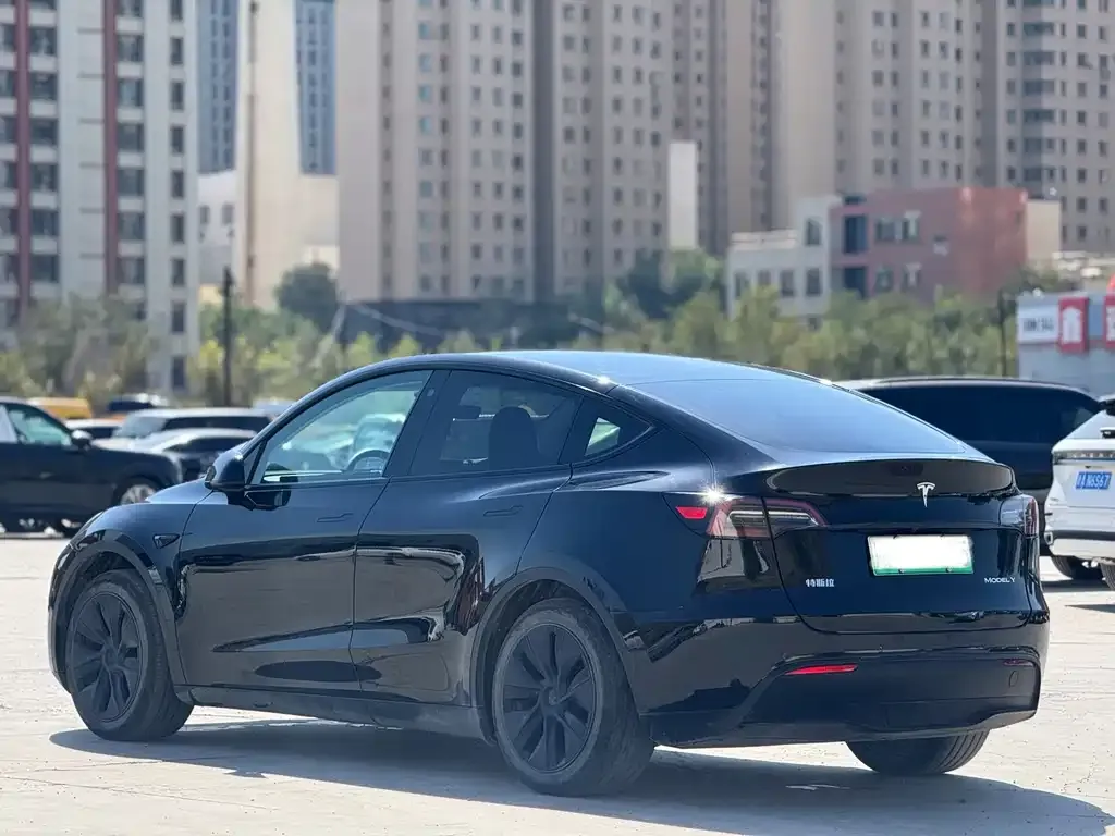 Tesla Model Y — фото 6