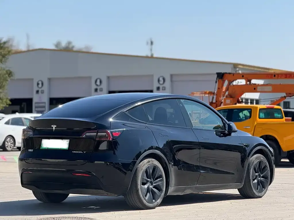 Tesla Model Y — фото 10