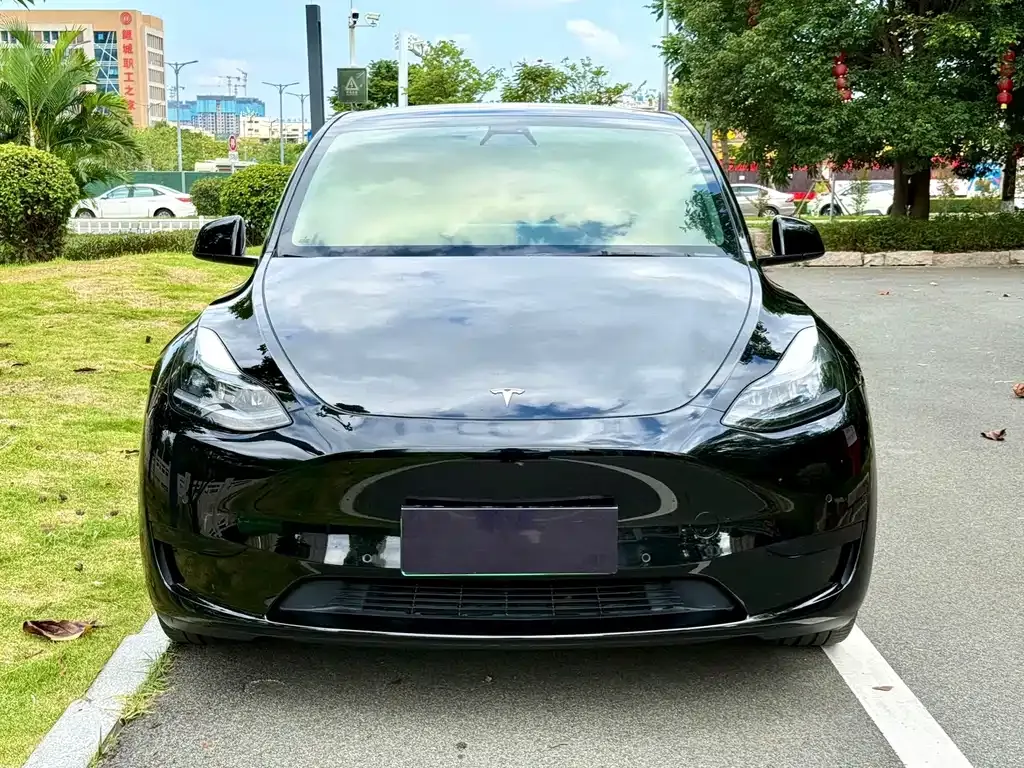 Tesla Model Y — фото 2