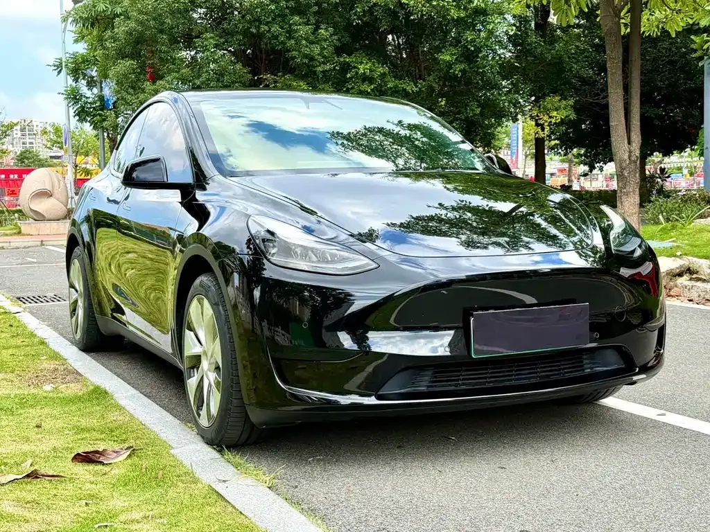 Tesla Model Y — фото 8