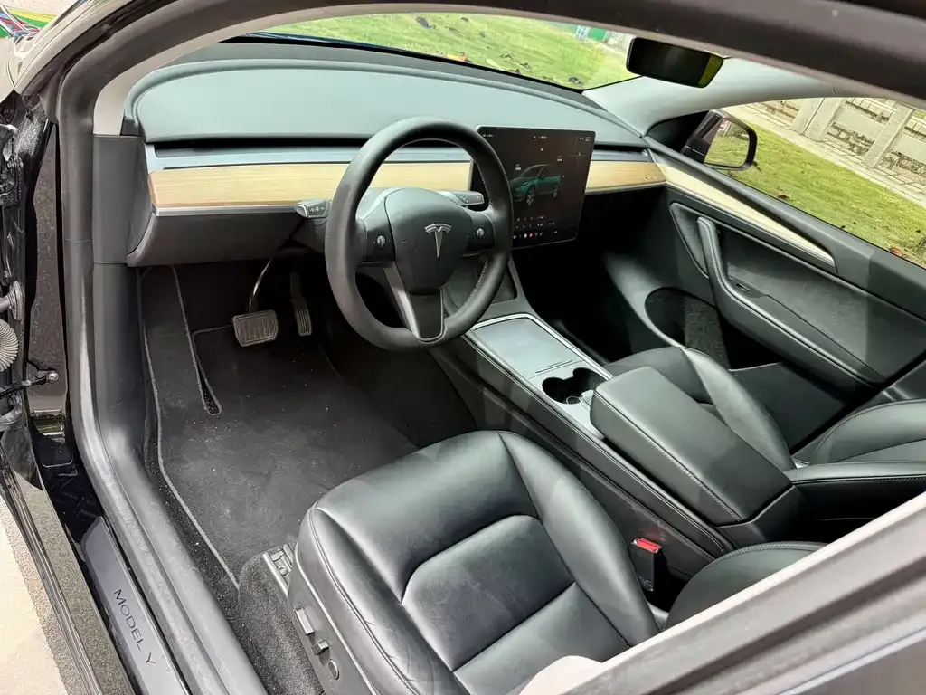 Tesla Model Y — фото 6