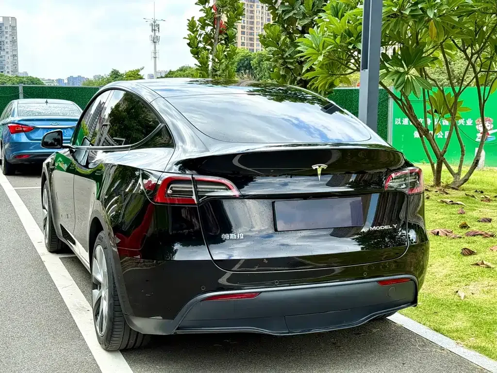 Tesla Model Y — фото 9