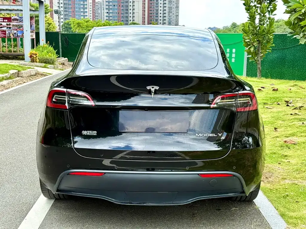 Tesla Model Y — фото 4