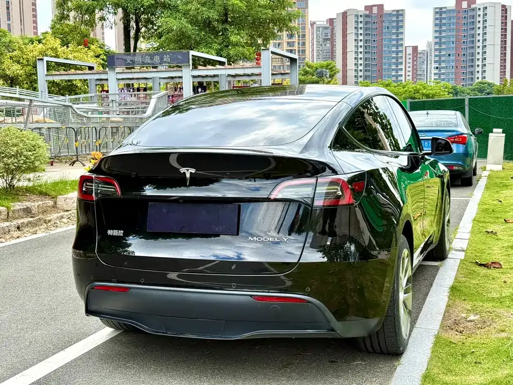 Tesla Model Y — фото 5