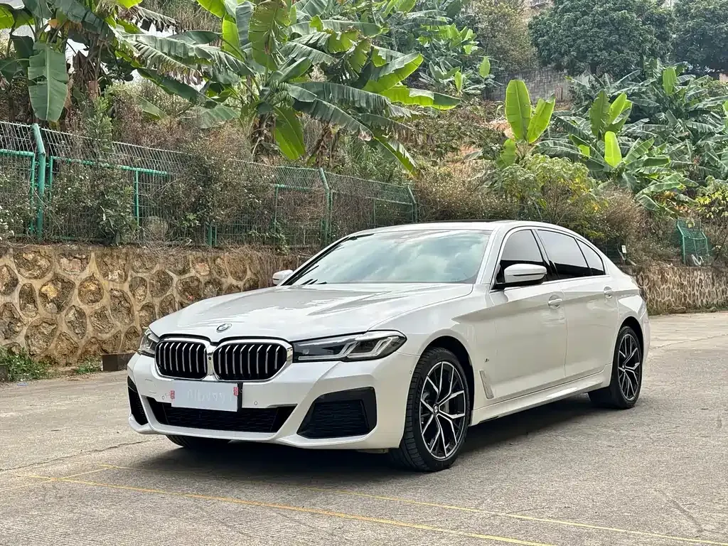 BMW 5 Series — фото 1