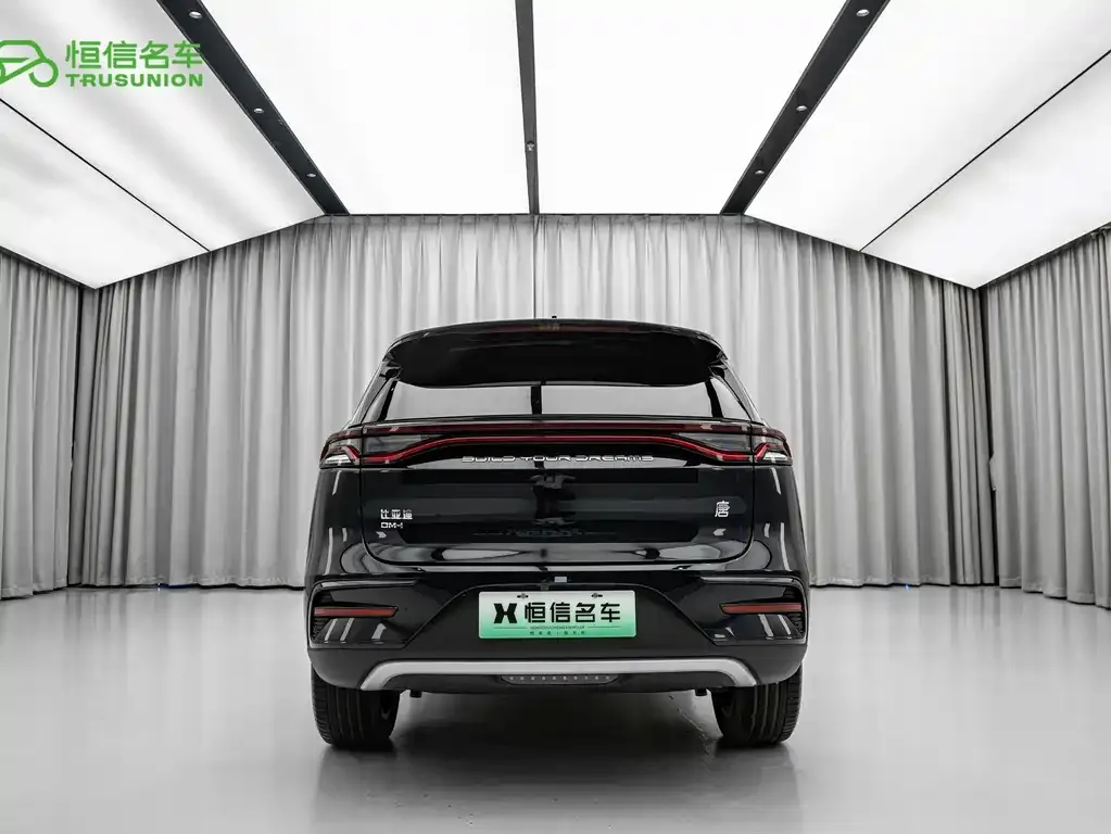 BYD Tang New Energy — фото 4