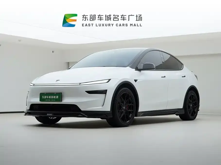 Tesla Model Y — фото 1