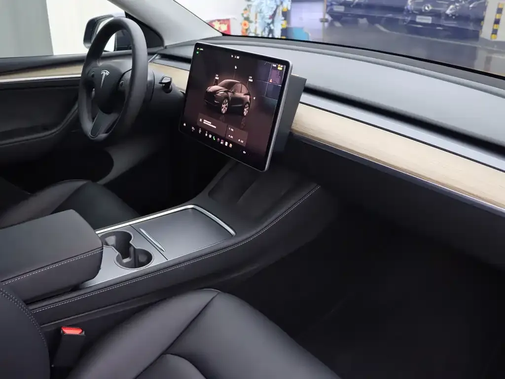 Tesla Model Y — фото 6