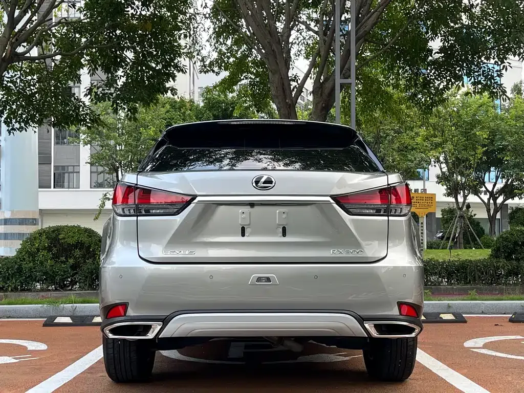 Lexus RX — фото 5