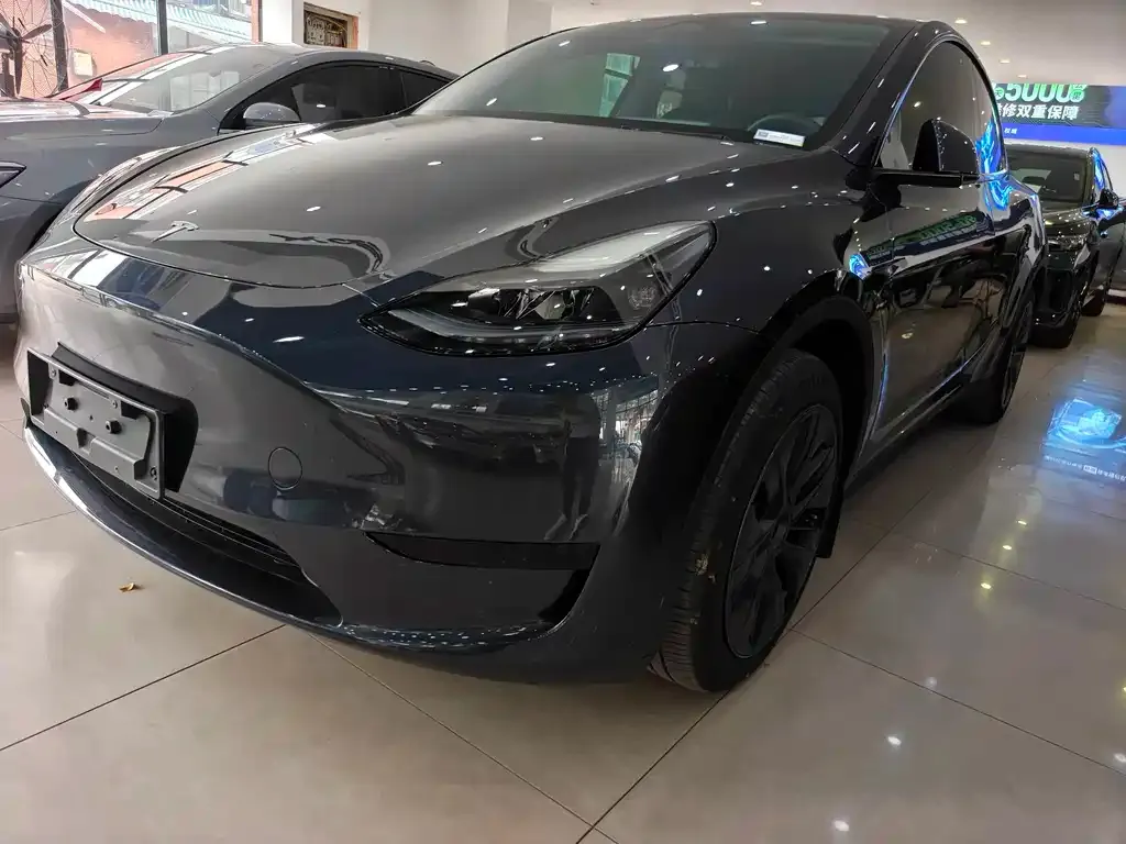 Tesla Model Y — фото 8