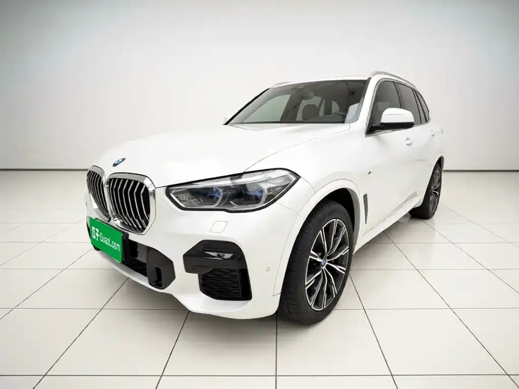 BMW X5 (Import) — фото 1