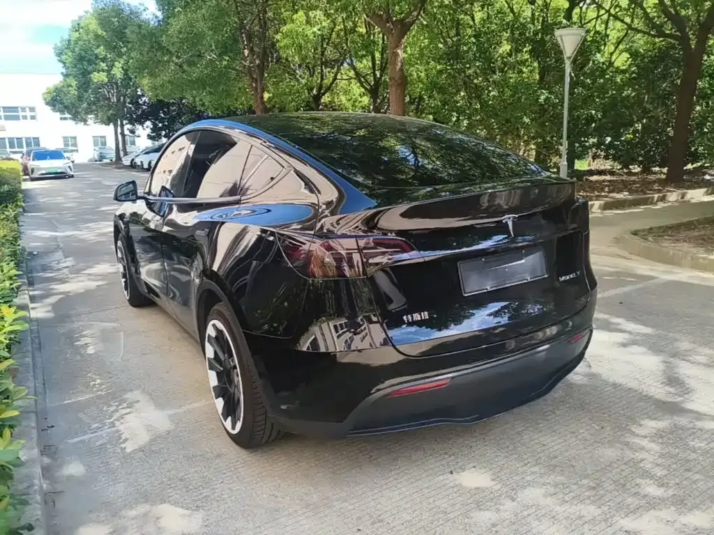 Tesla Model Y — фото 9
