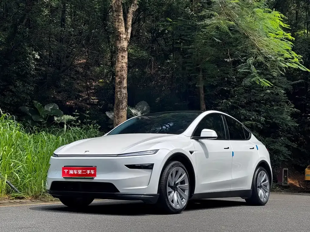 Tesla Model Y — фото 1