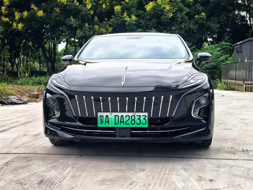 Hongqi E-QM5 — фото 8
