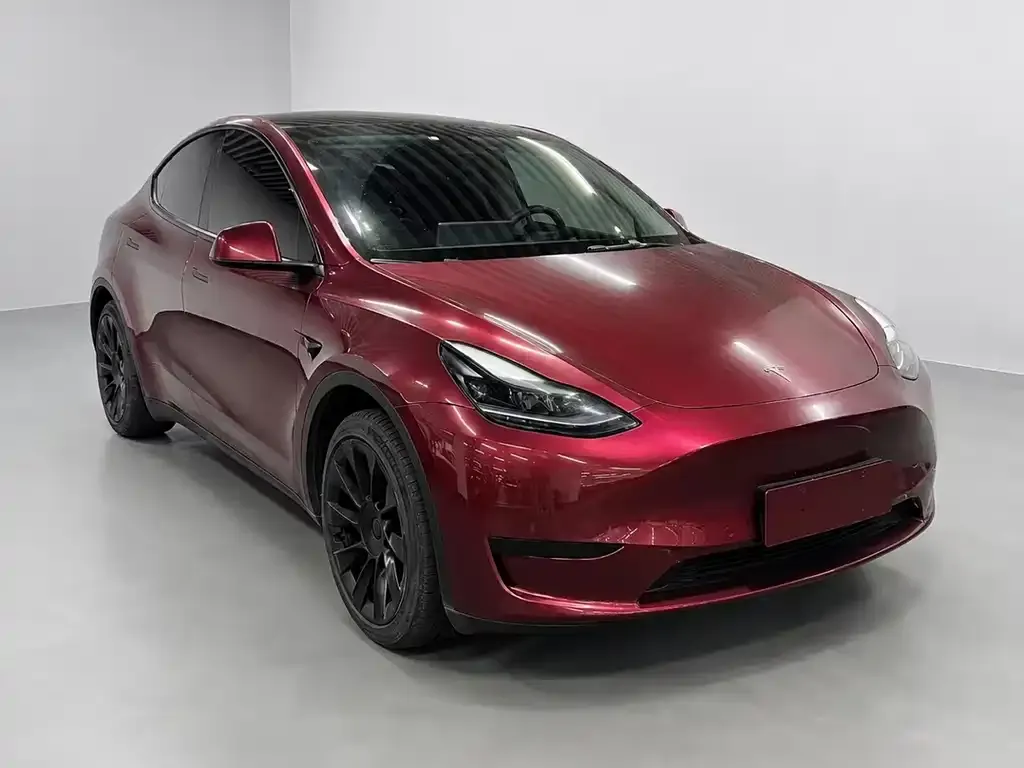 Tesla Model Y — фото 2