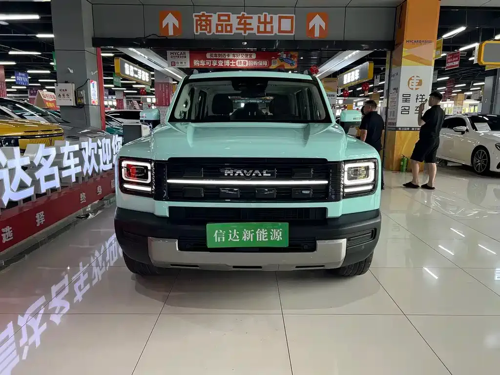 Haval Menglong New Energy — фото 7