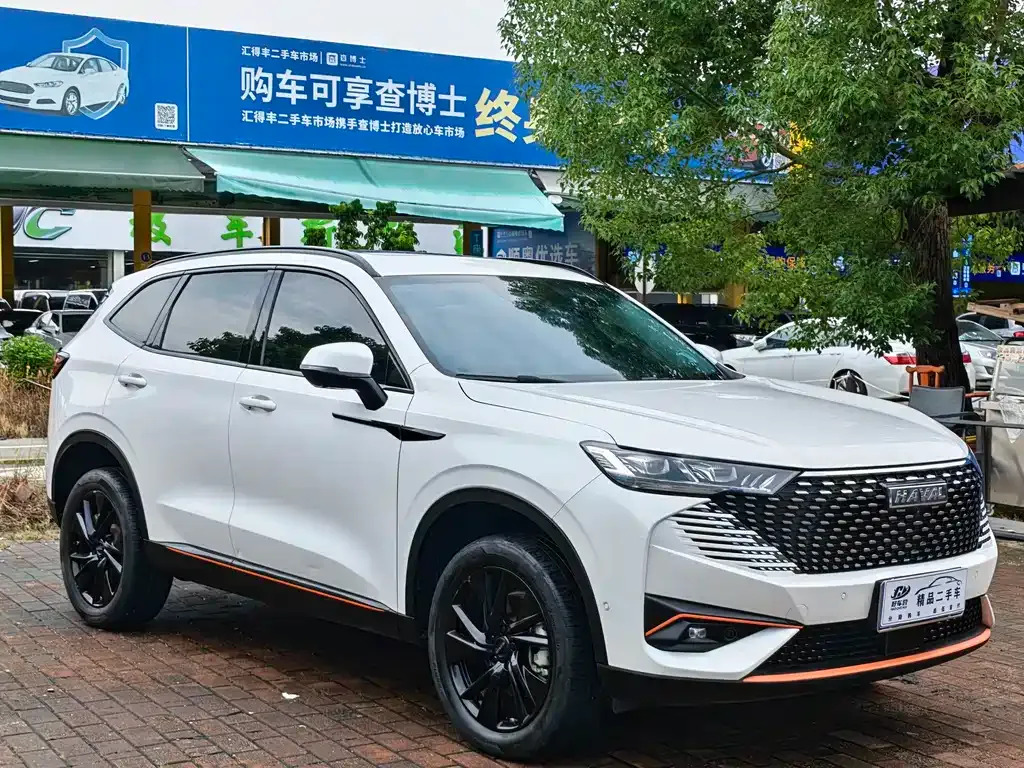 Haval H6 — фото 5