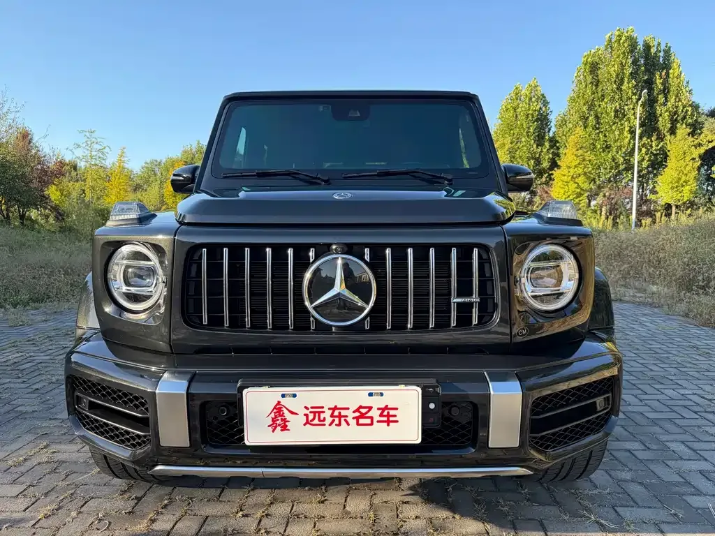 Mercedes-Benz G-Class AMG — фото 7