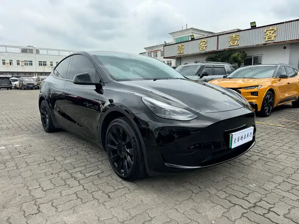 Tesla Model Y — фото 6